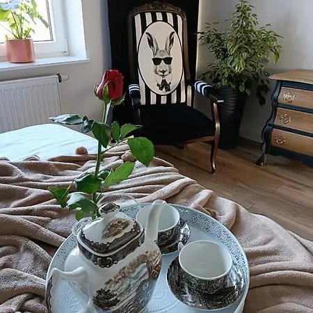 Duże Apartamenty Holender House 6 plaż w zasięgu plus jezioro Choczewo Zewnętrze zdjęcie