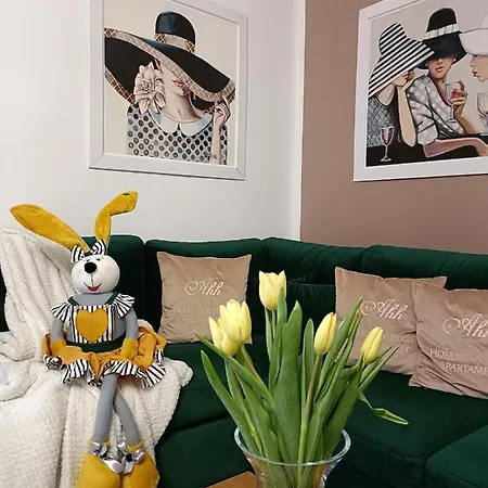 Duże Apartamenty Holender House 6 plaż w zasięgu plus jezioro Choczewo Zewnętrze zdjęcie